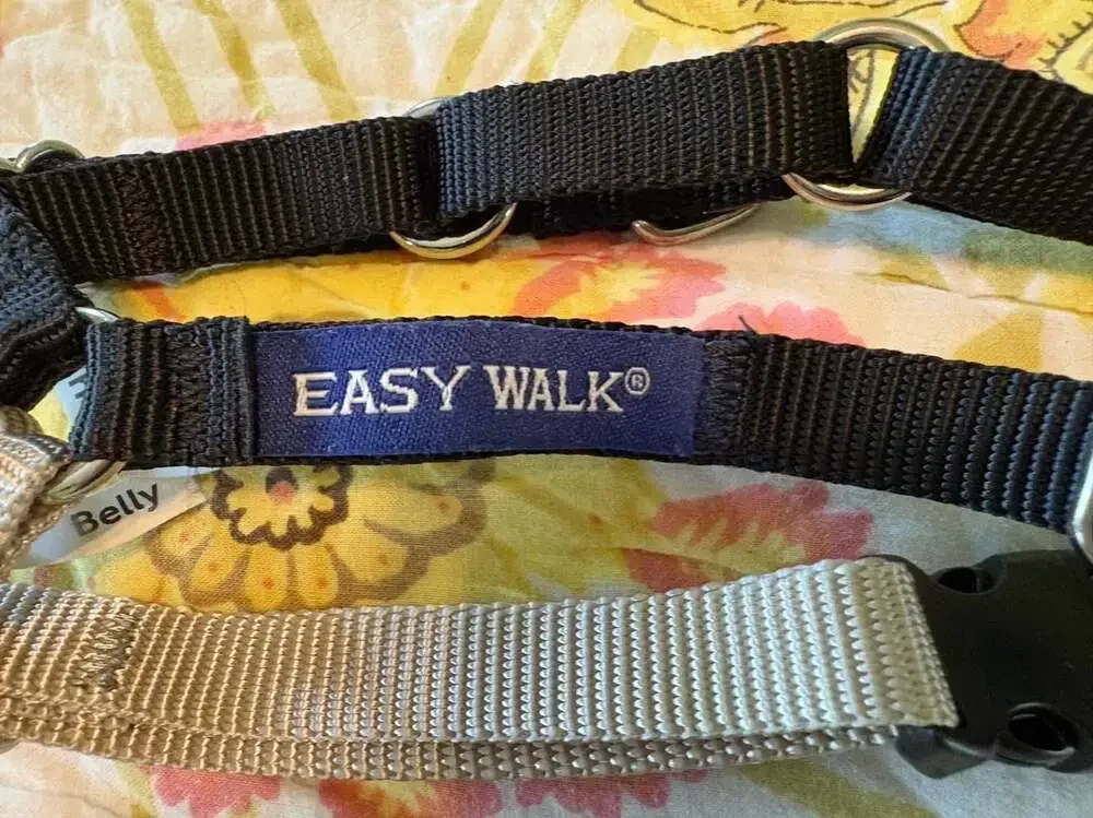 PetSafe new without